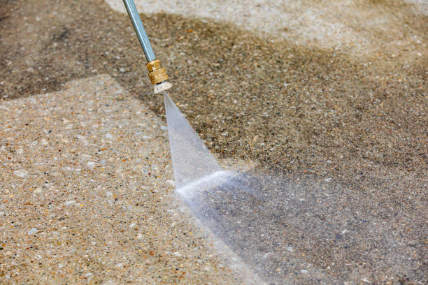 Best Spring Cleaning  in Lake Elmo, MN